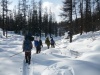 В Алтайском заповеднике подвели итоги Зимних маршрутных учётов
